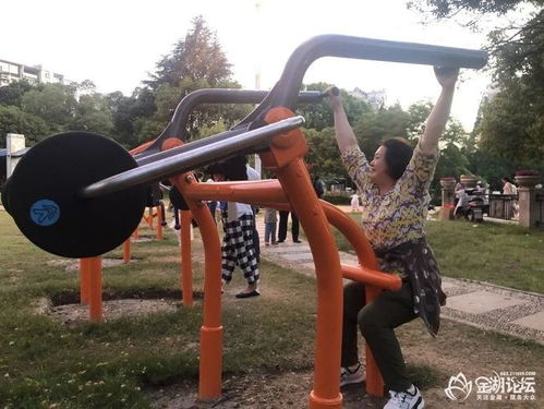 金湖翠湖公園新增力量型運動器材,成為一道靚麗的風景線