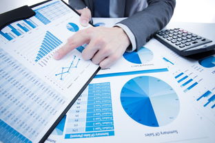 洞察市場(chǎng)，鏈接貿(mào)易 國內(nèi)知名市場(chǎng)調(diào)研與貿(mào)易代理服務(wù)機(jī)構(gòu)概覽