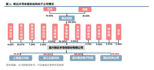 斯達(dá)半導(dǎo) IGBT模塊國內(nèi)領(lǐng)先廠商，有望受益于國產(chǎn)替代與行業(yè)增長(zhǎng)