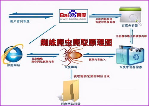 SEO快速排名外包服務 上海優化公司與導游服務的跨界融合
